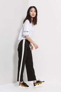 服裝與紡織品 時(shí)尚與實(shí)用的完美融合